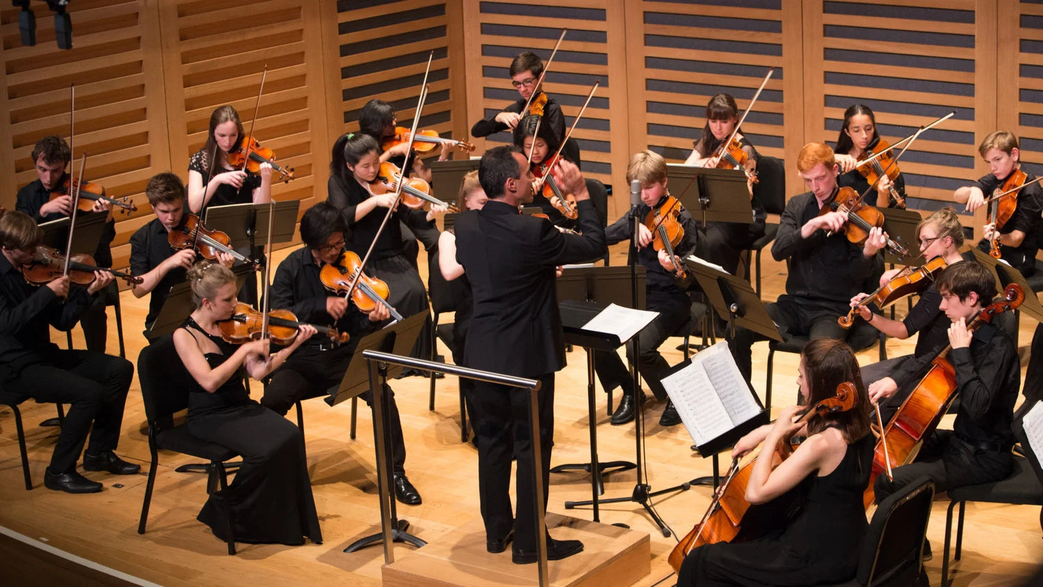 Orchestra
